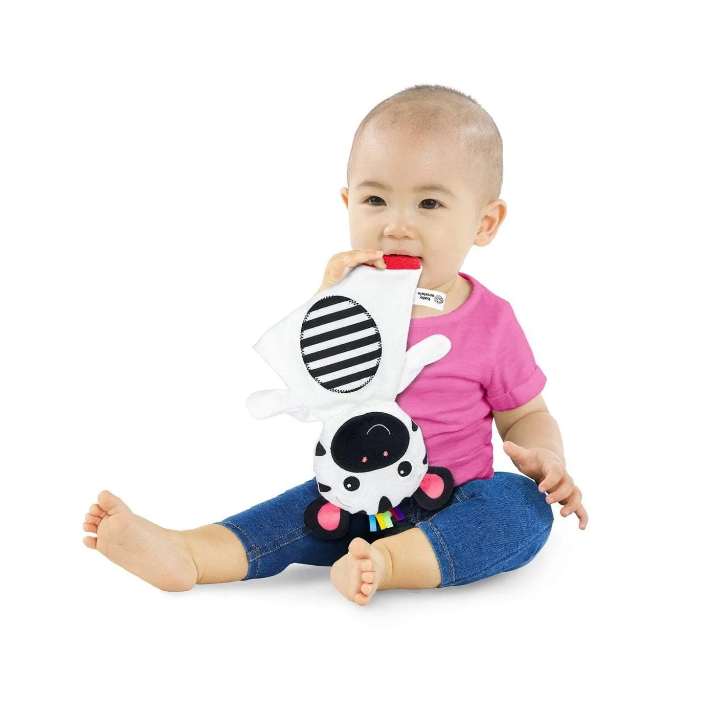 Baby Einstein - Zen the Zebra Sensory Plush Teether