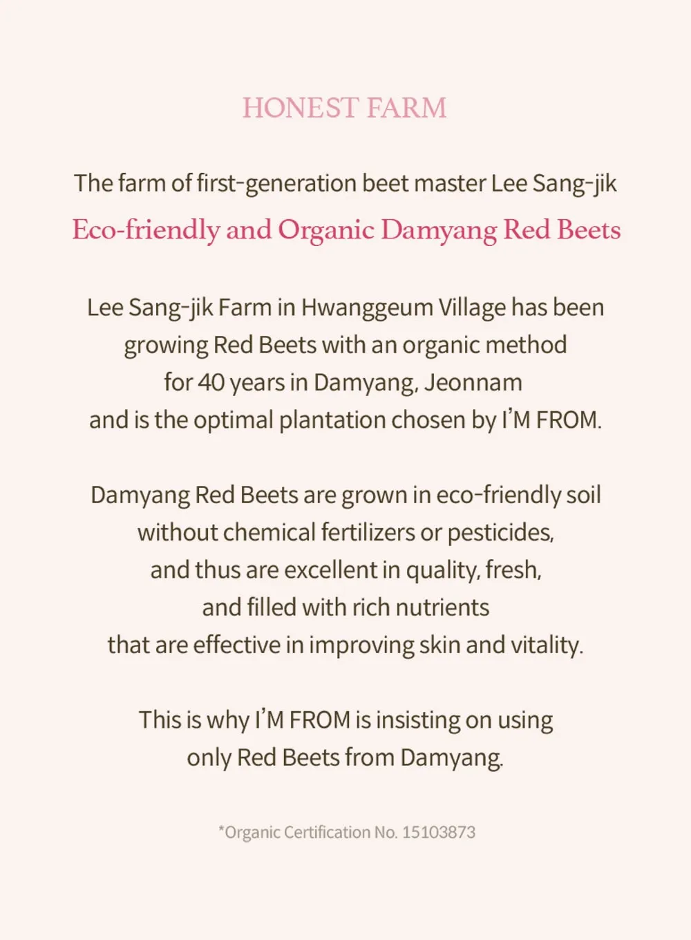 Beet Purifying Mask (110g)